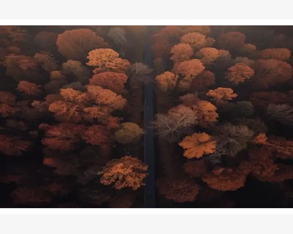 化痰喝氨溴索：中医科普揭秘痰湿困扰与改善之道